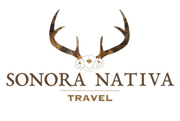 Sonora Nativa Travel