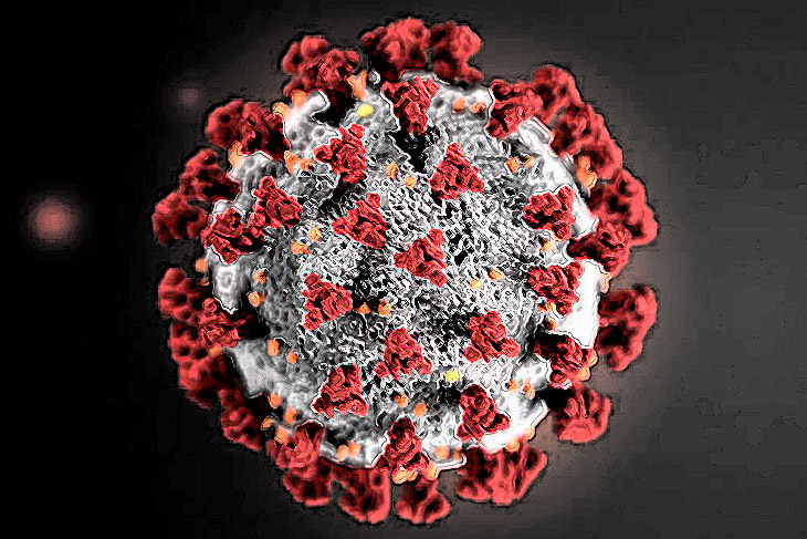 coronavirus pandemic arizona sonora
